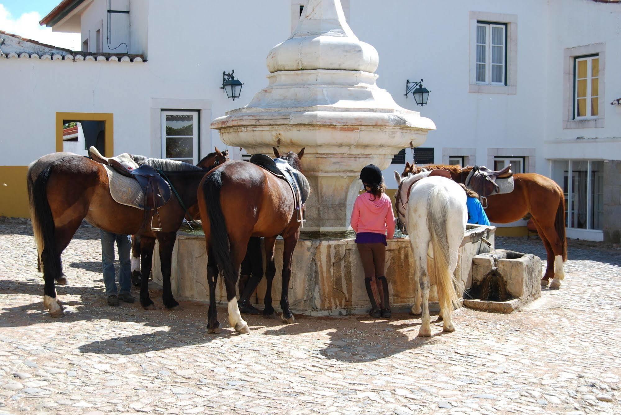 Rural Quinta De Santo Antonio Hotel Elvas