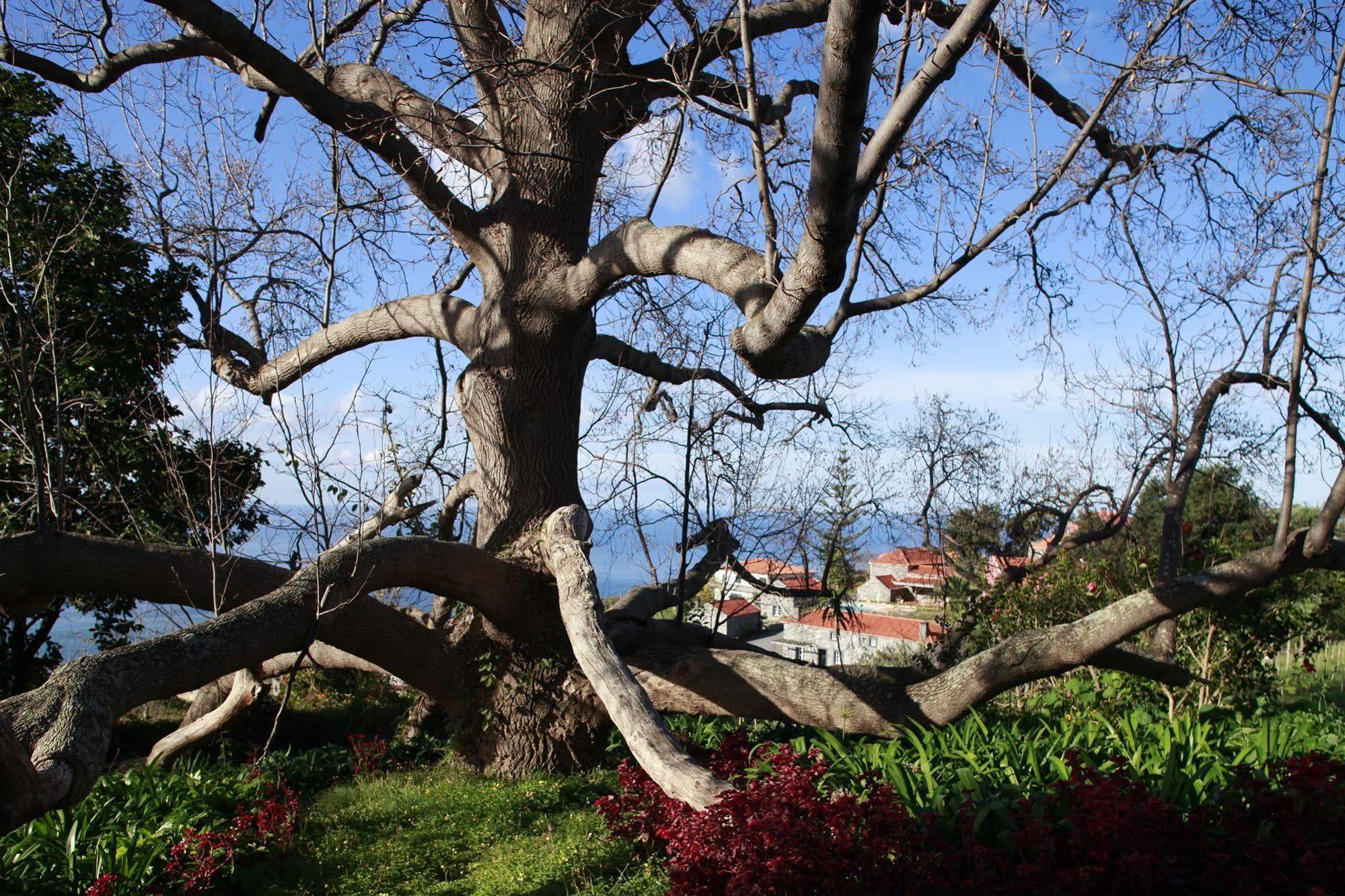 Gasthuis Quinta Vinhas
