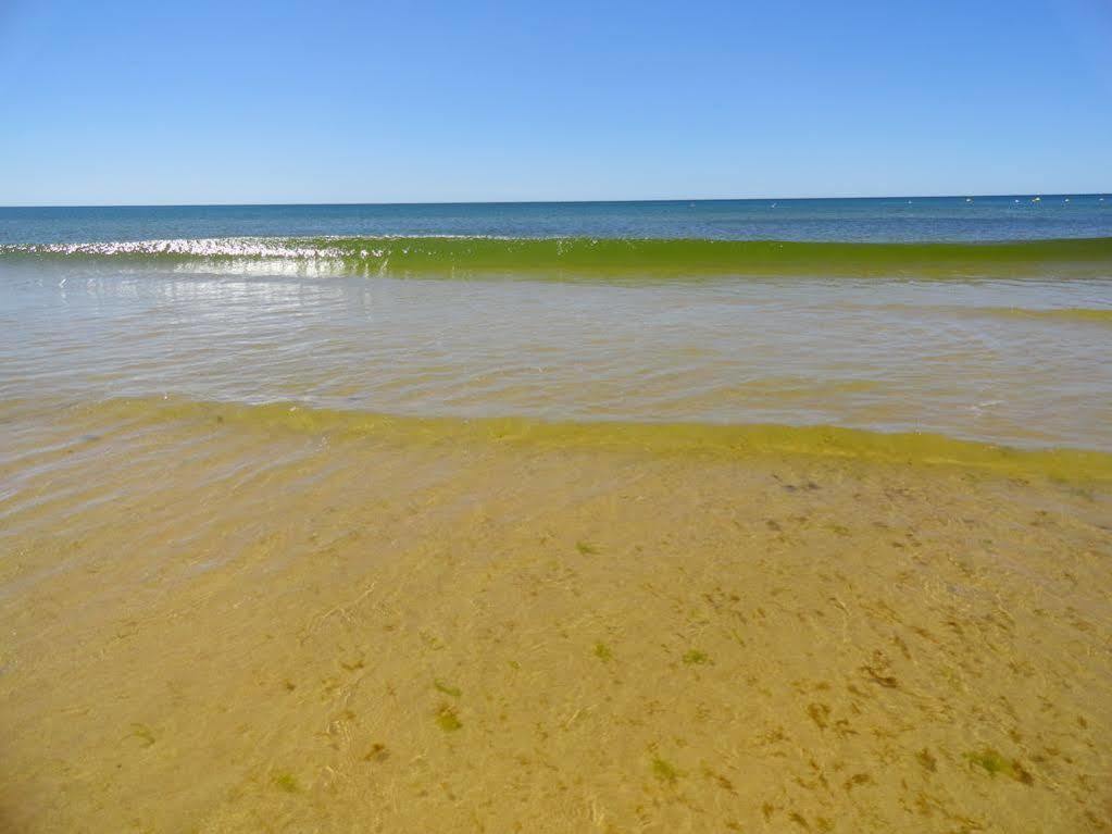 Guadiana Monte Gordo