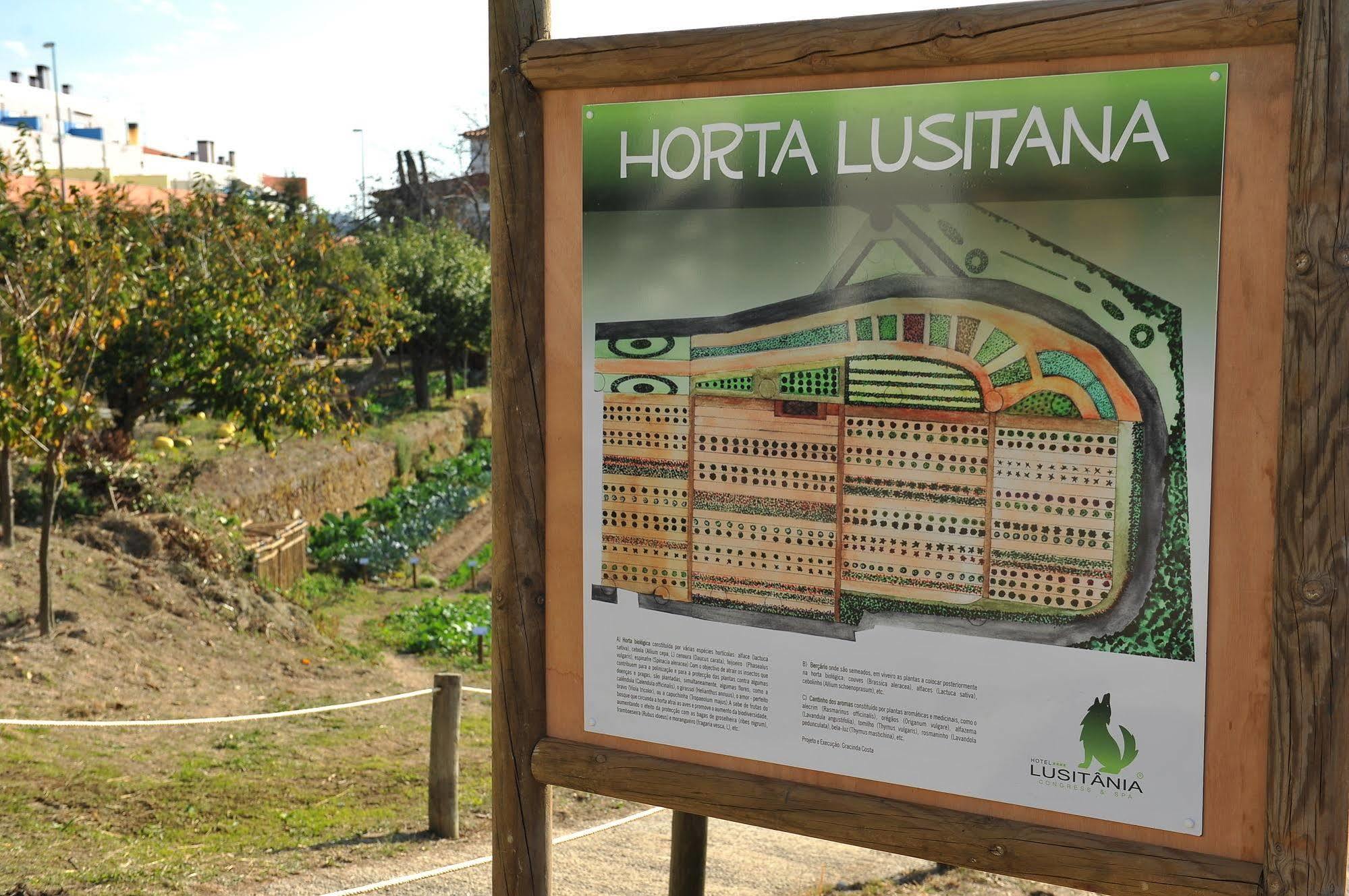 Lusitania Congress & Hotel Guarda