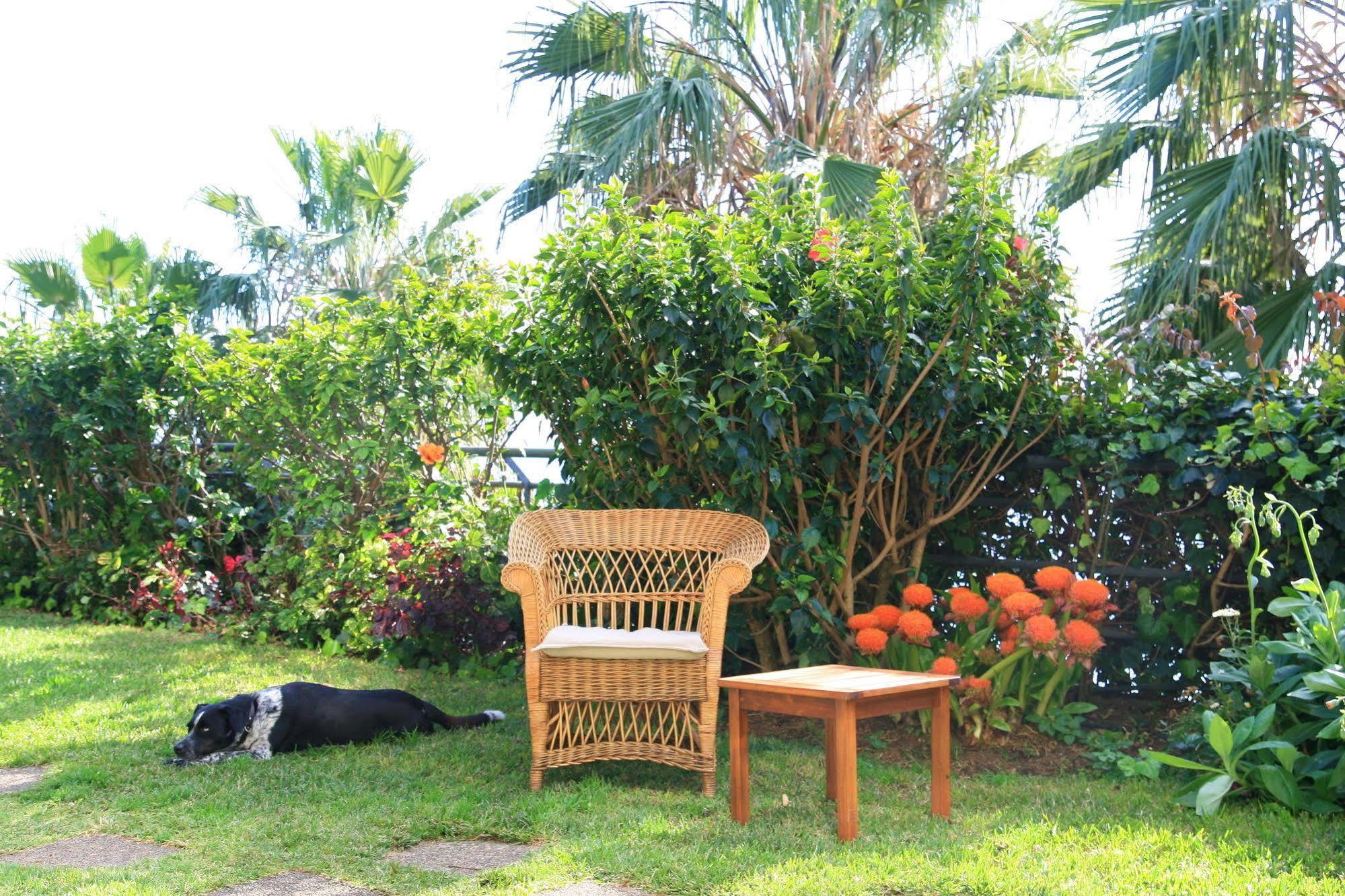 Casa Do Papagaio Pensión 3*