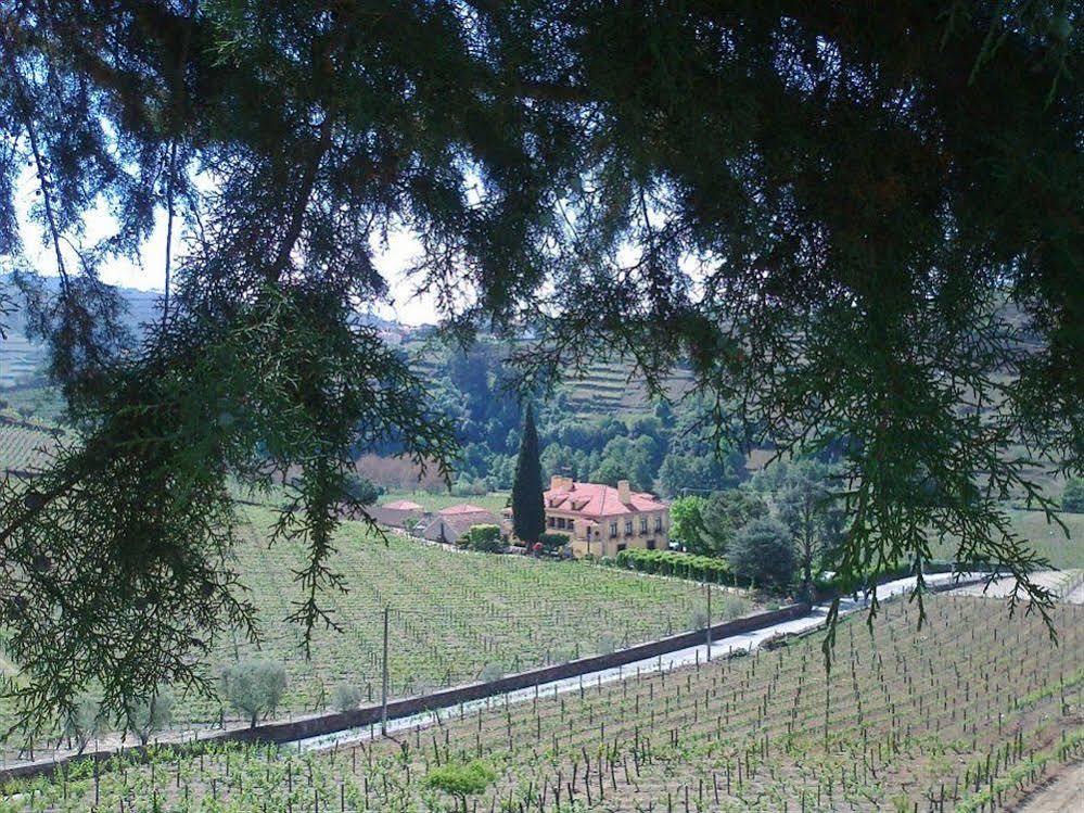 Solar Quinta Da Portela - Douro