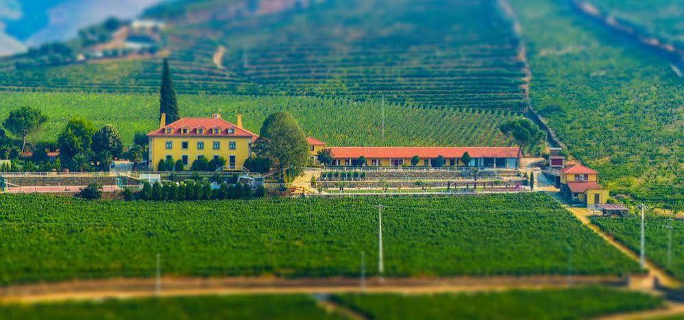 Country house Solar Quinta Da Portela - Douro *