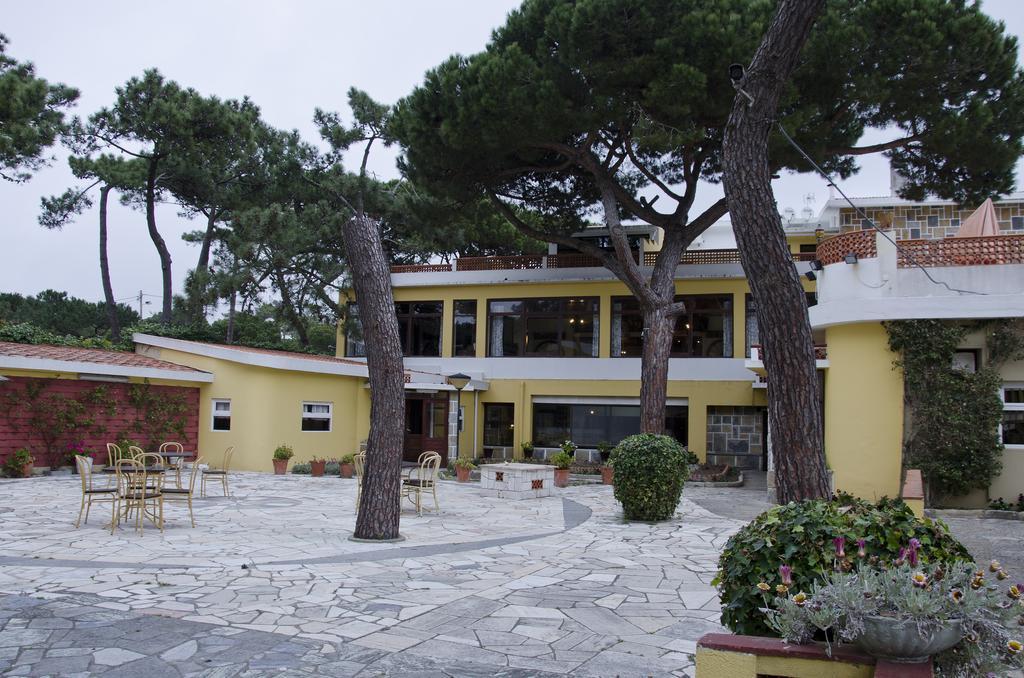 Vip Miramonte