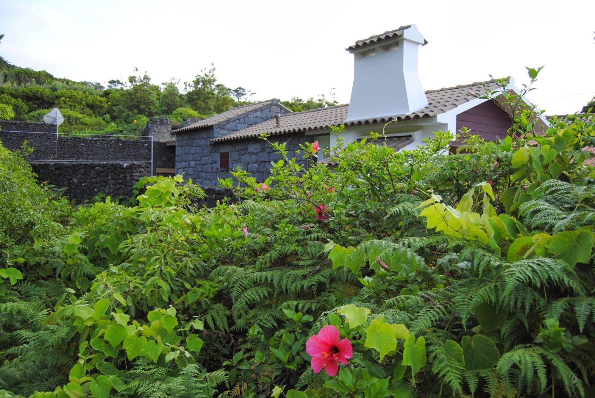 Casas Da Faja Holiday home Praia do Norte