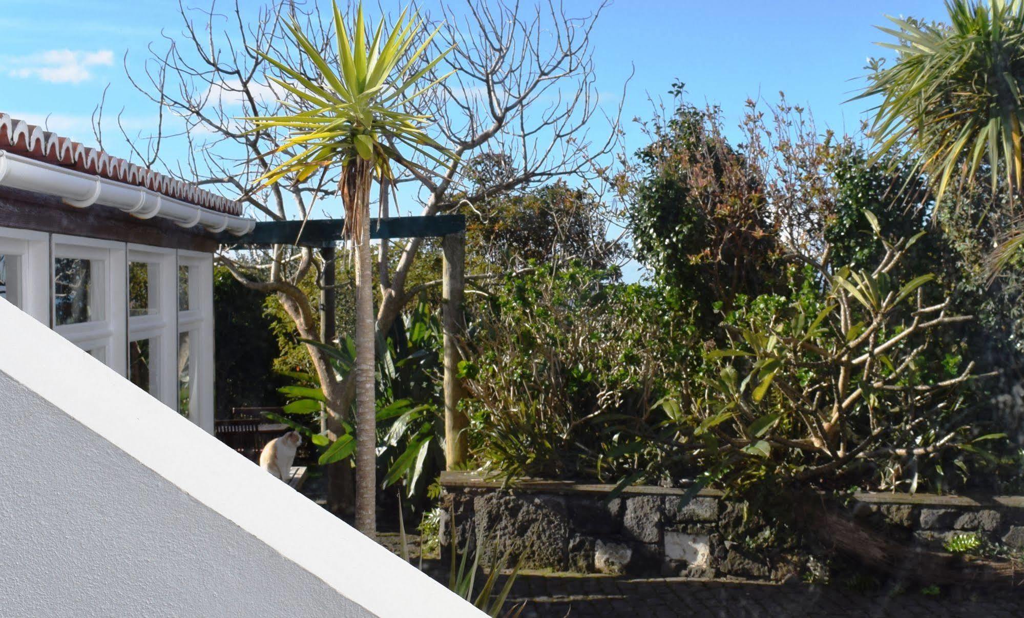 Estadia no rancho Quinta Da Meia Eira
