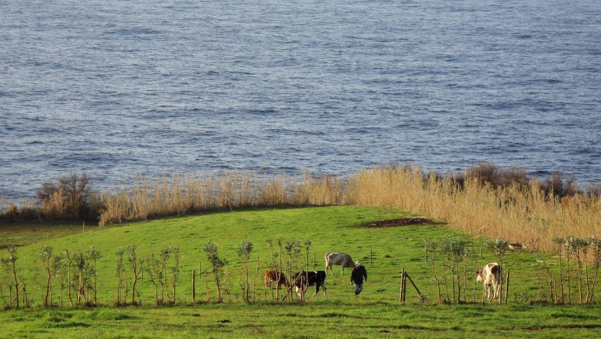 Quinta Da Meia Eira Farm stay Castelo Branco (Faial)
