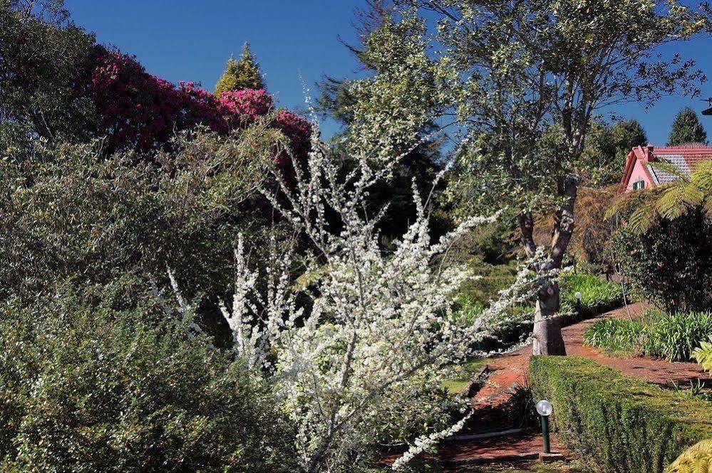 Quinta Apartahotel Santo Antonio da Serra