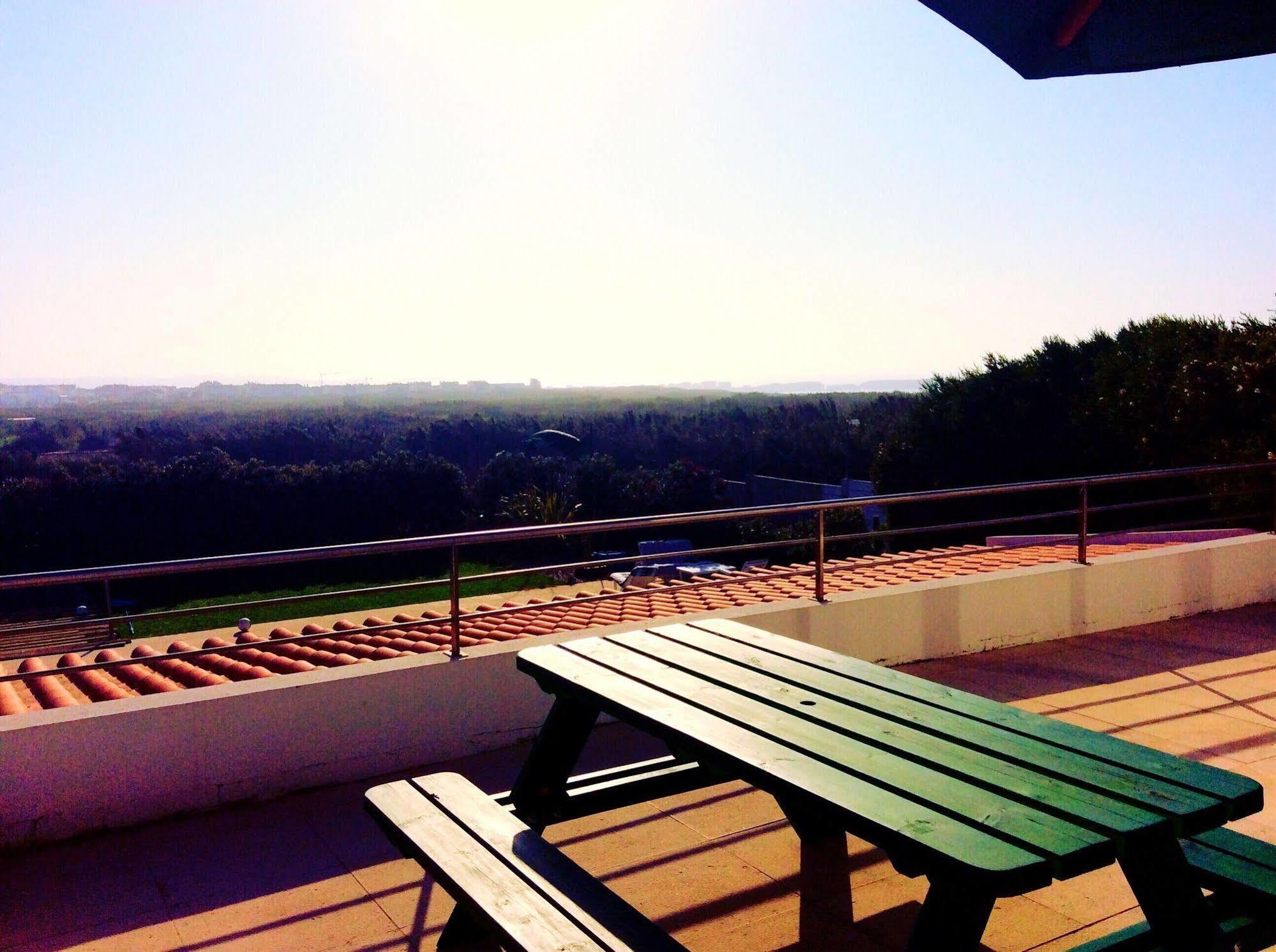 Freesurfcamp &