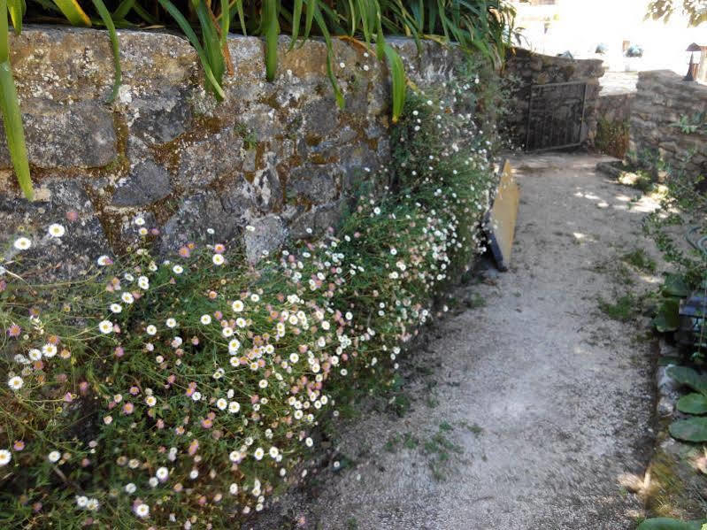 Dos Poetas Bed & Breakfast Sintra