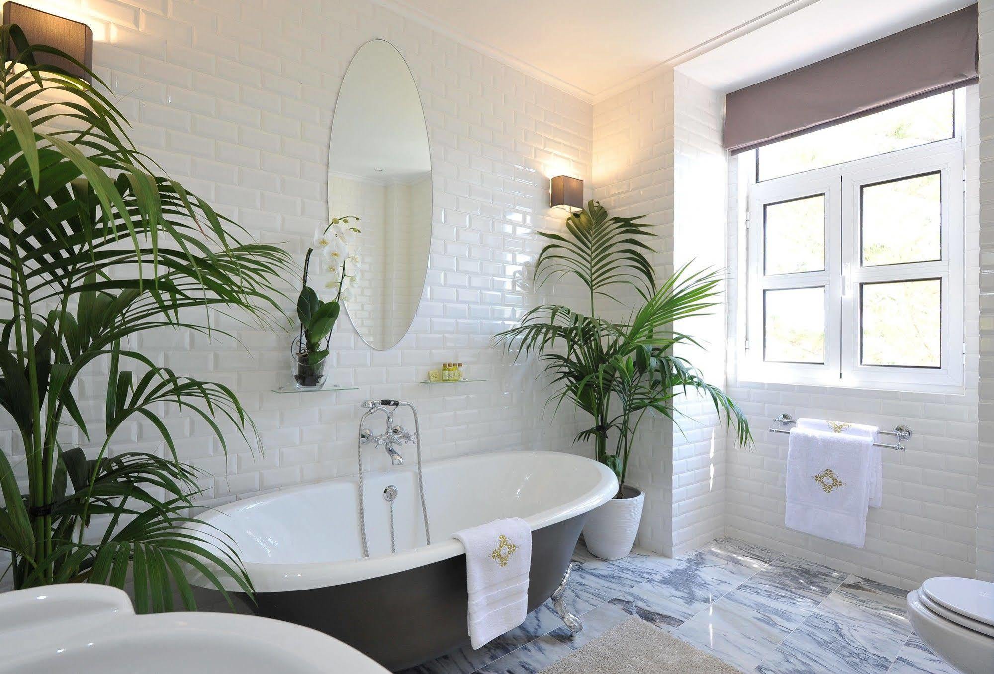 Fonte Da Foz Bed & Breakfast *