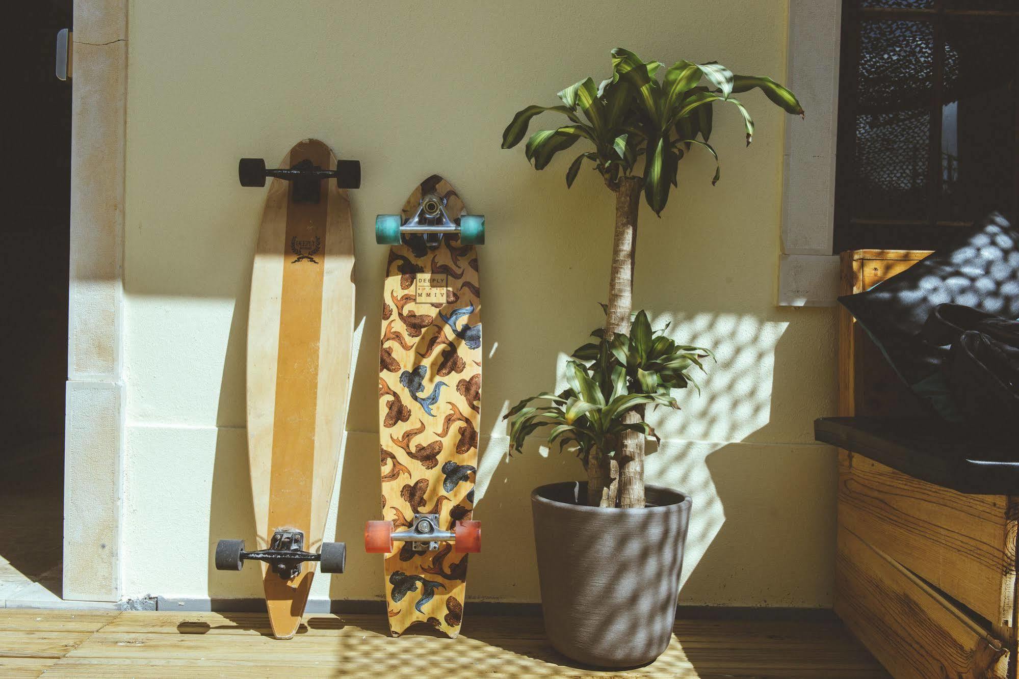 Hostel Cliff Surf House