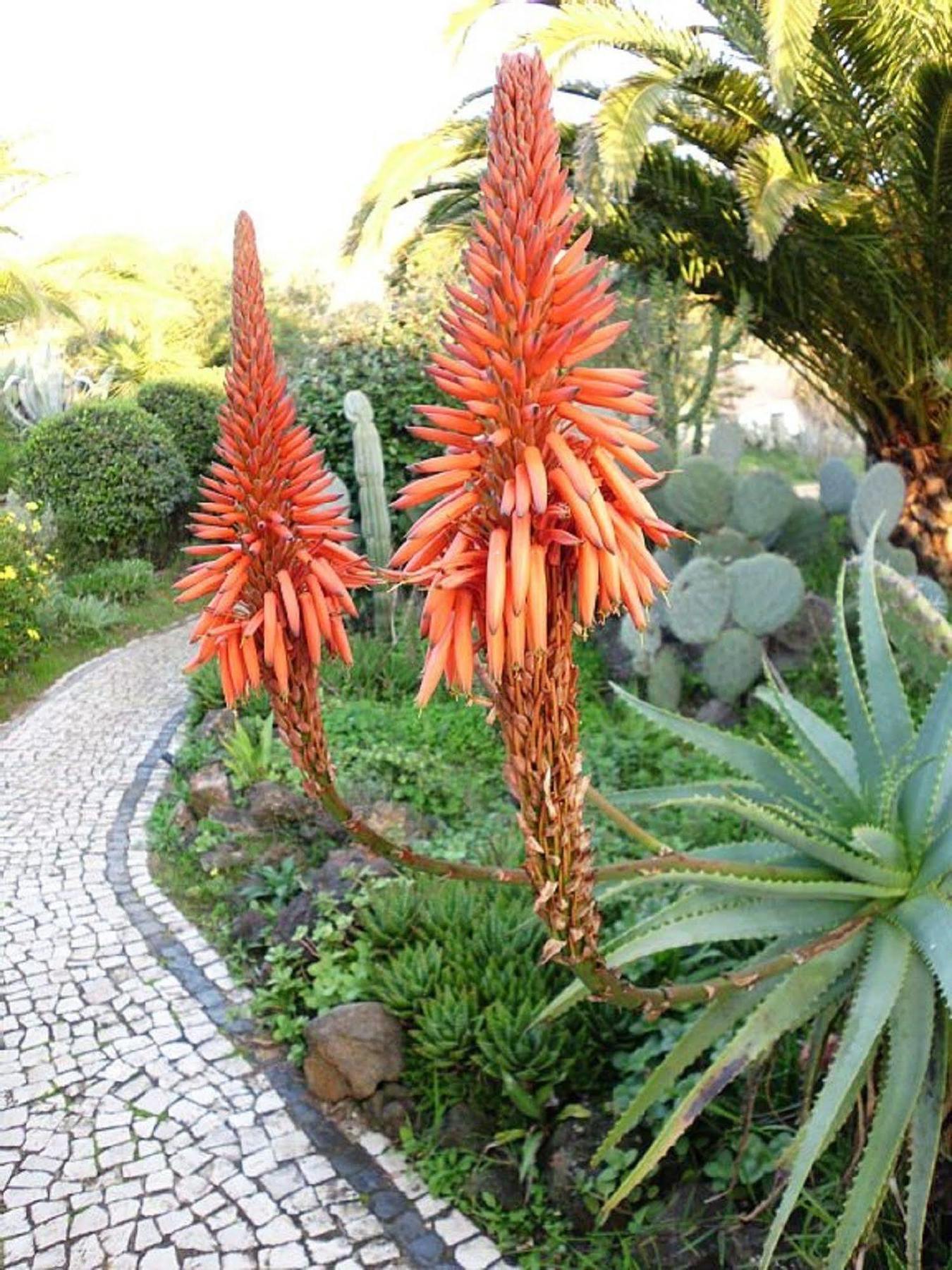 Farm stay Quinta Pedagogica Da Samoqueirinha - Duna Parque & *