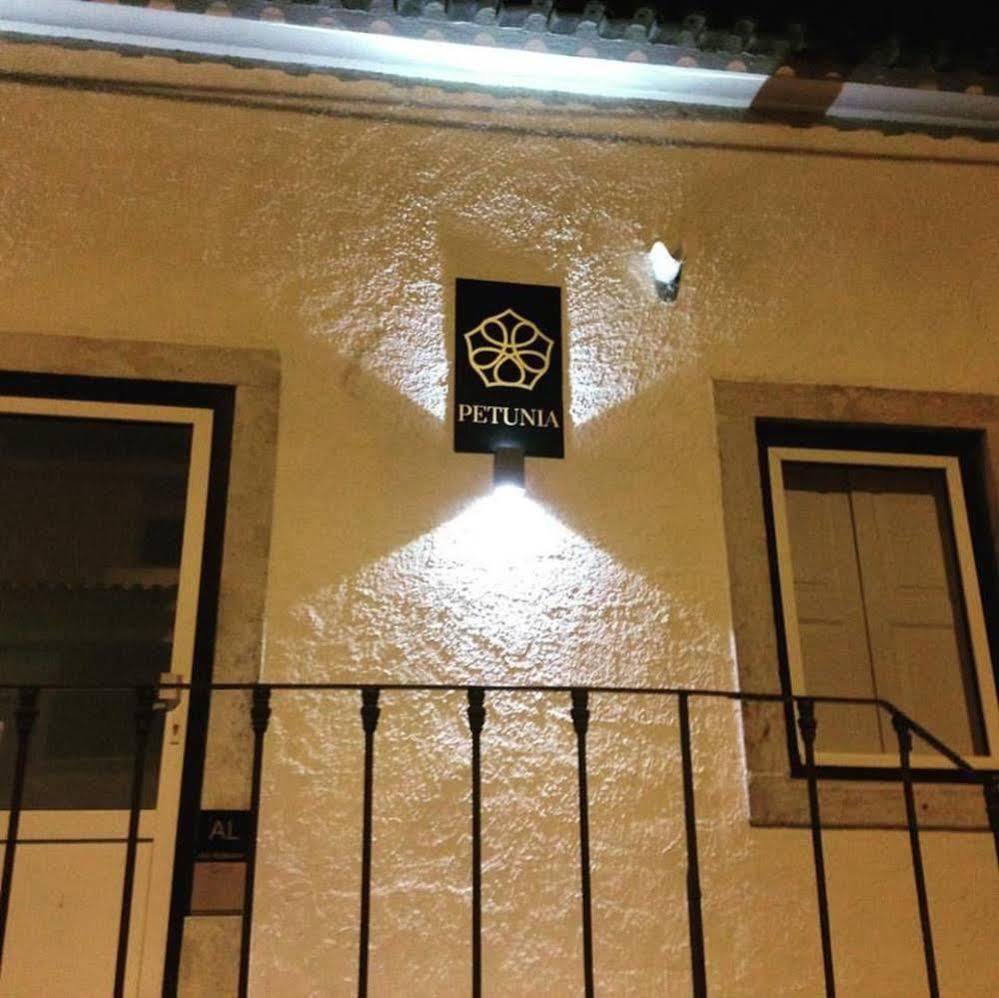 Guest house Petunia -