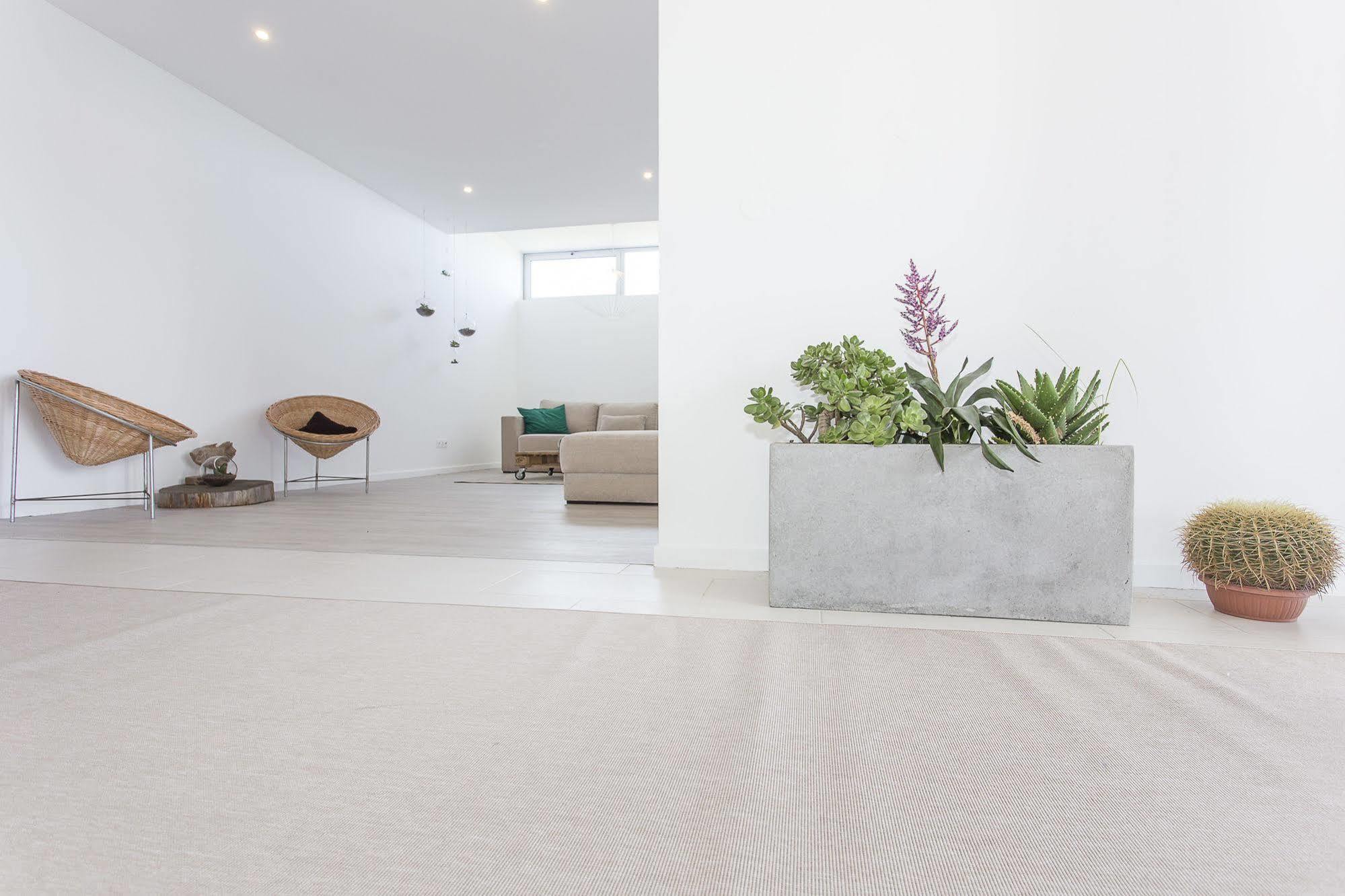 Sao Vicente - Atlantic Retreat