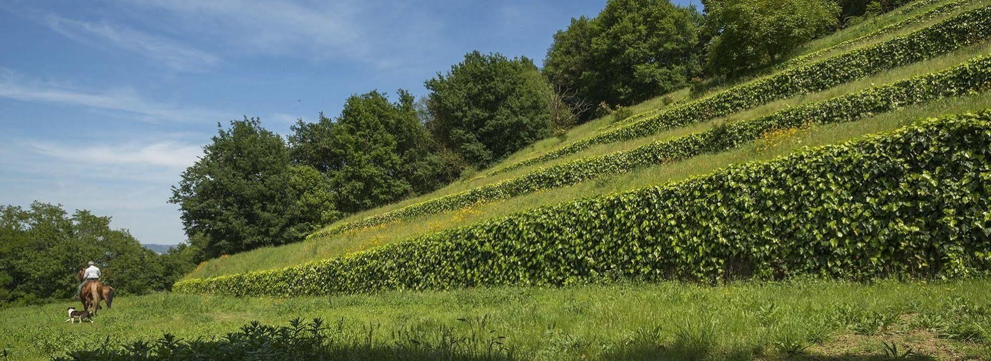 Quinta Do Fontelo *