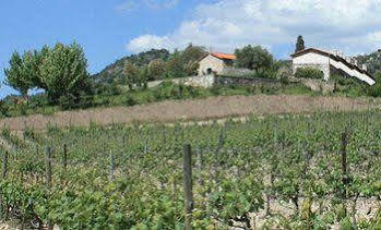 Quinta Da Terrincha