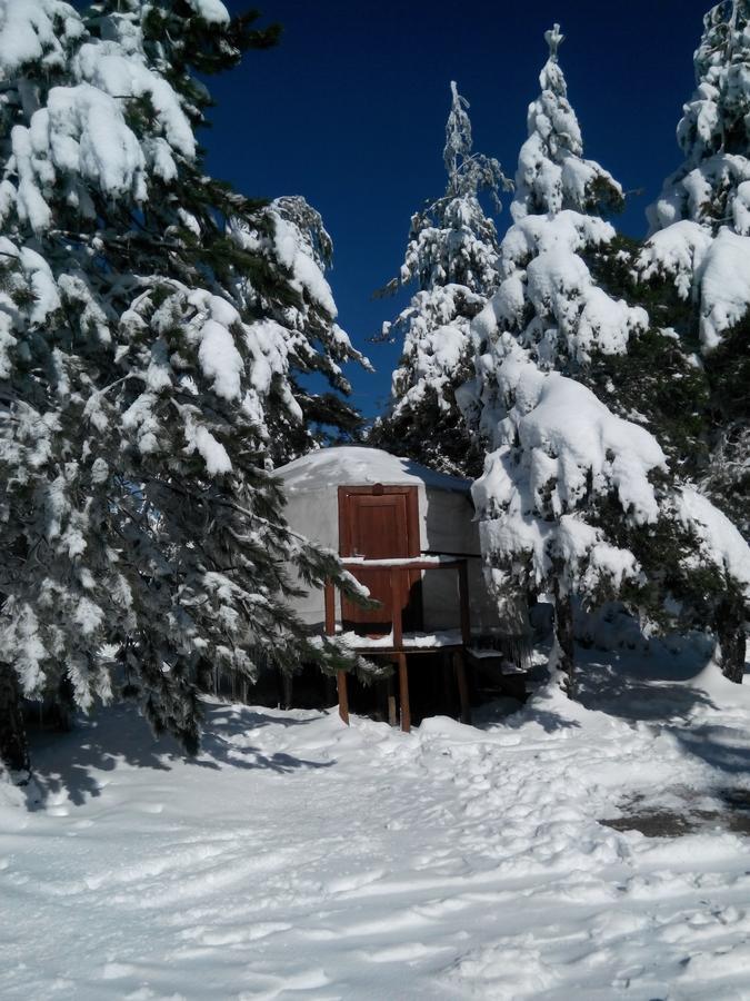 Vale Do Rossim Eco Lodge Gouveia (Guarda)