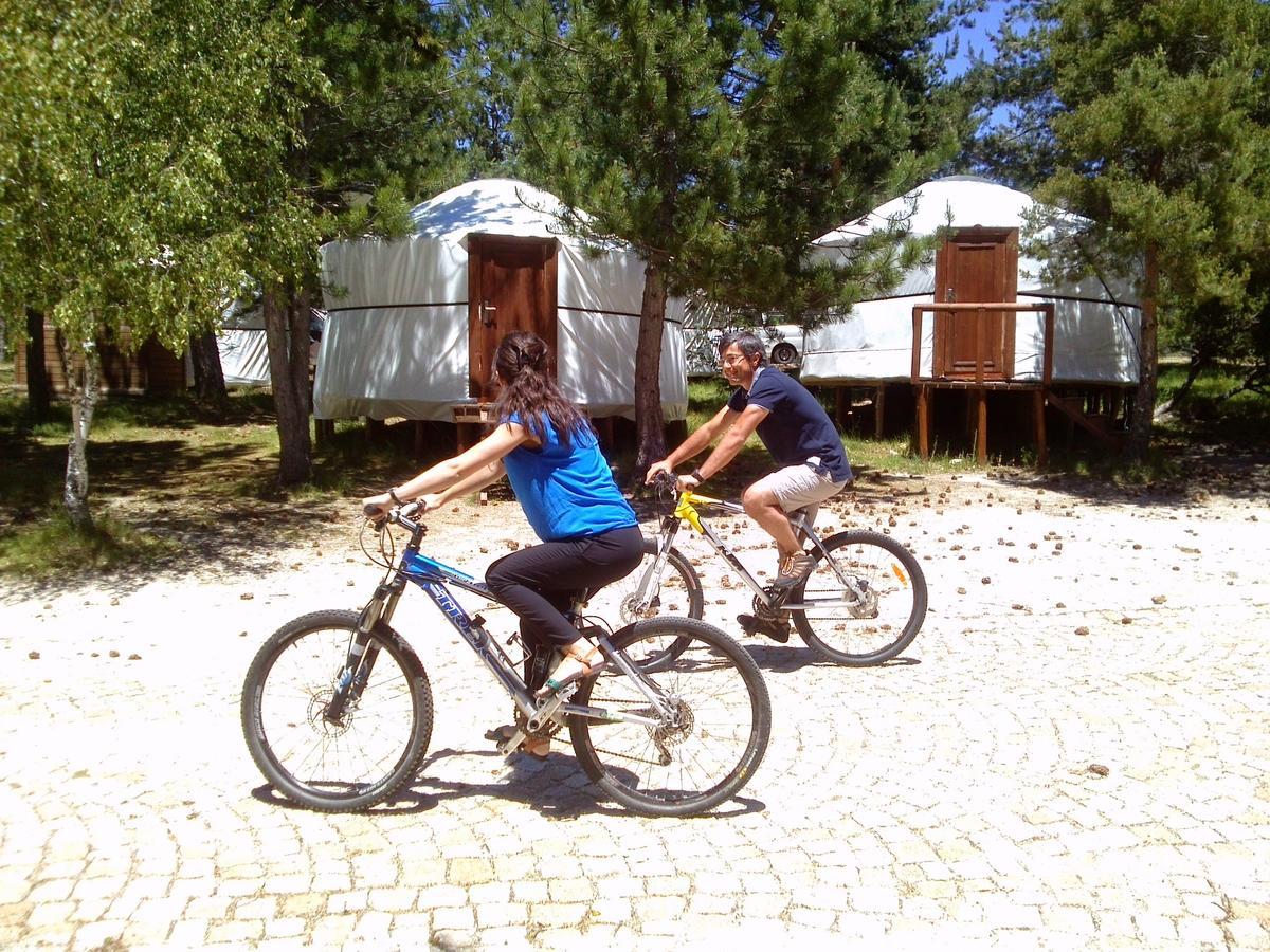 Vale Do Rossim Eco *