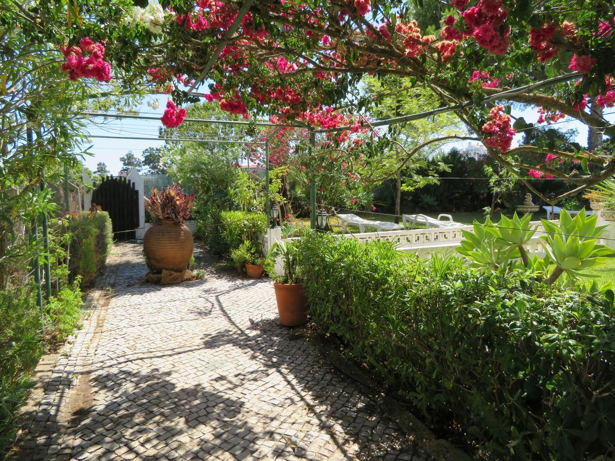 Hotel Alcaide 3*