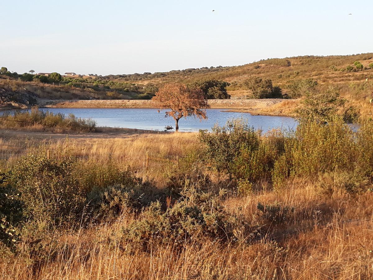 Herdade Dos Mestres Farm stay *
