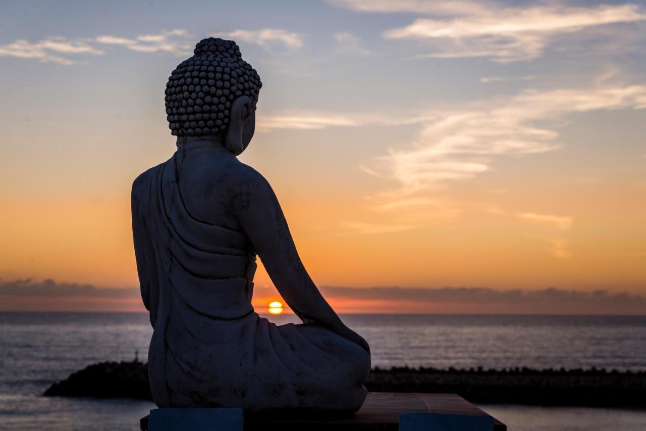 Sandhi House - Yoga & Wellness Guest house Ericeira