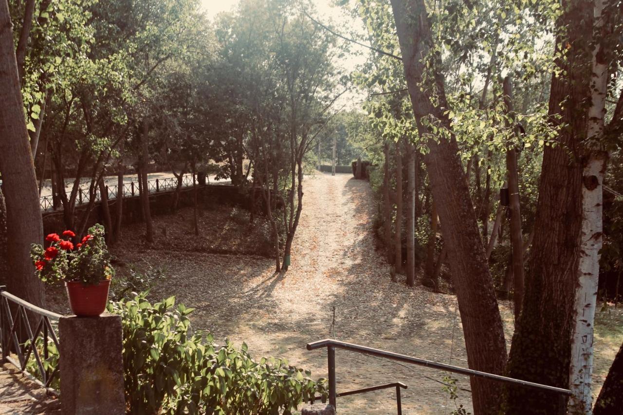 Quinta Da Mata - Turismo De Habitacao Country house