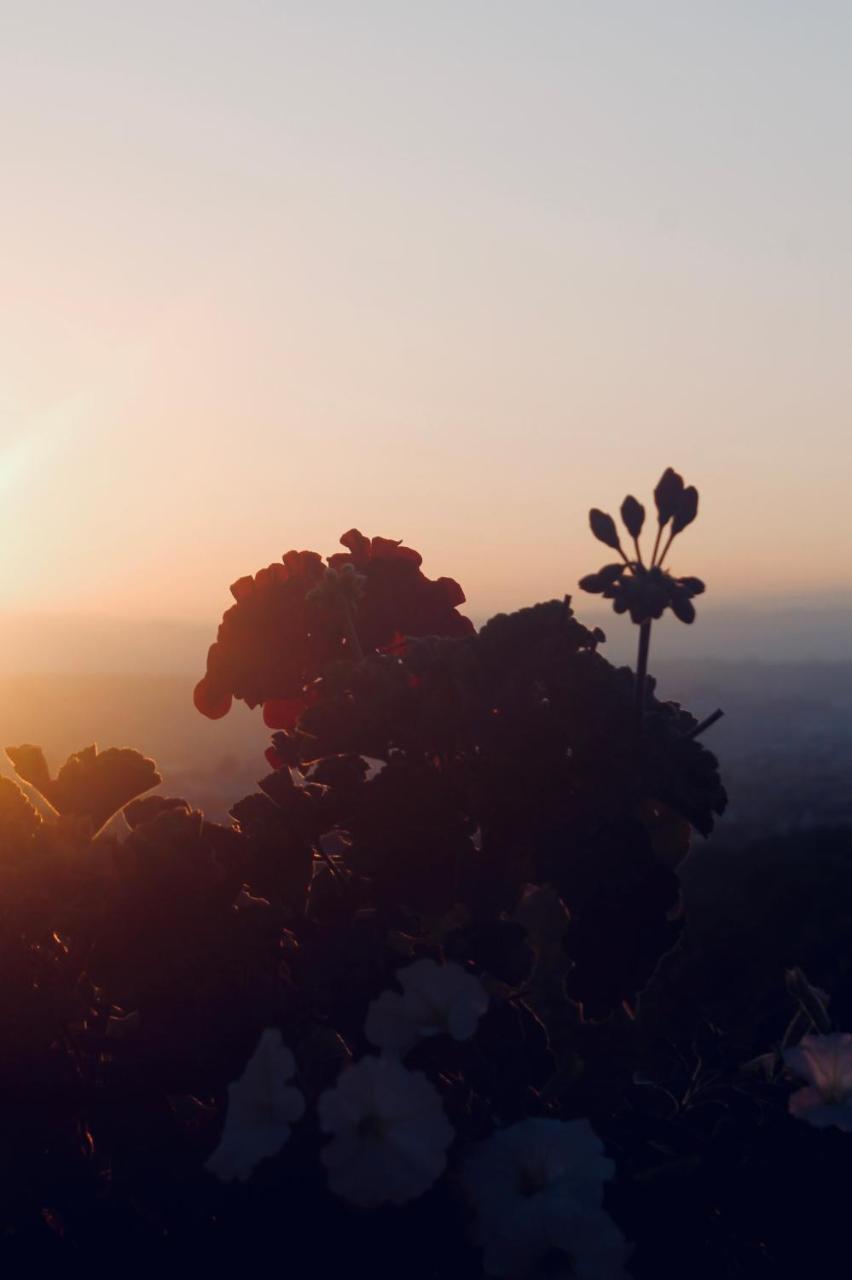 Quinta Da Mata - Turismo De Habitacao