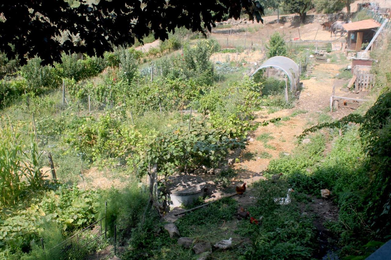 Quinta Da Mata - Turismo De Habitacao
