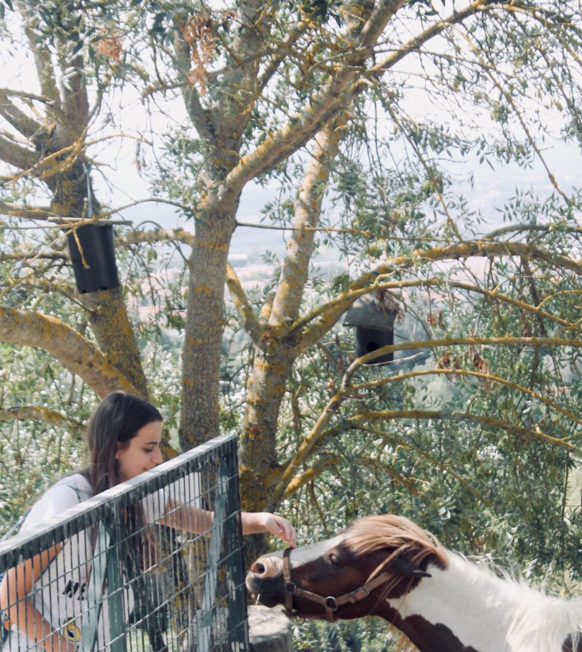 Quinta Da Mata - Turismo De Habitacao Country house
