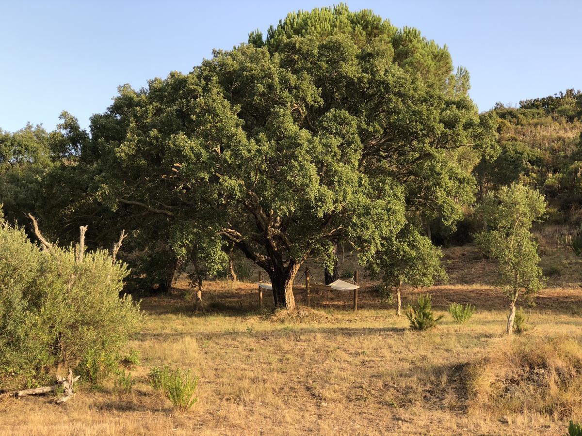 Halma - Nature & Sea Guest house