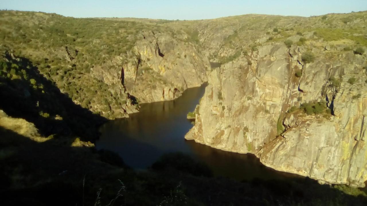 Casa de hóspedes Flor Do Douro - Comercio E Hotelaria, Lda