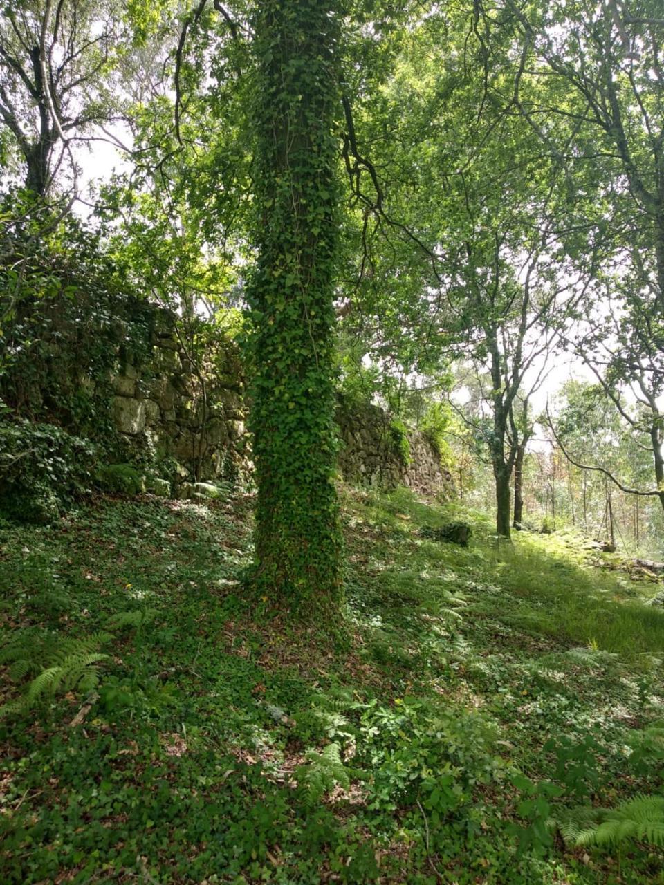 Quinta Geres