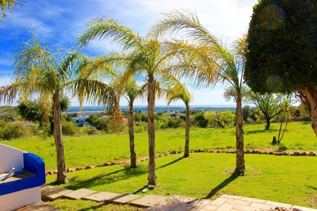 Vakantiehuis Casa Da Avo *