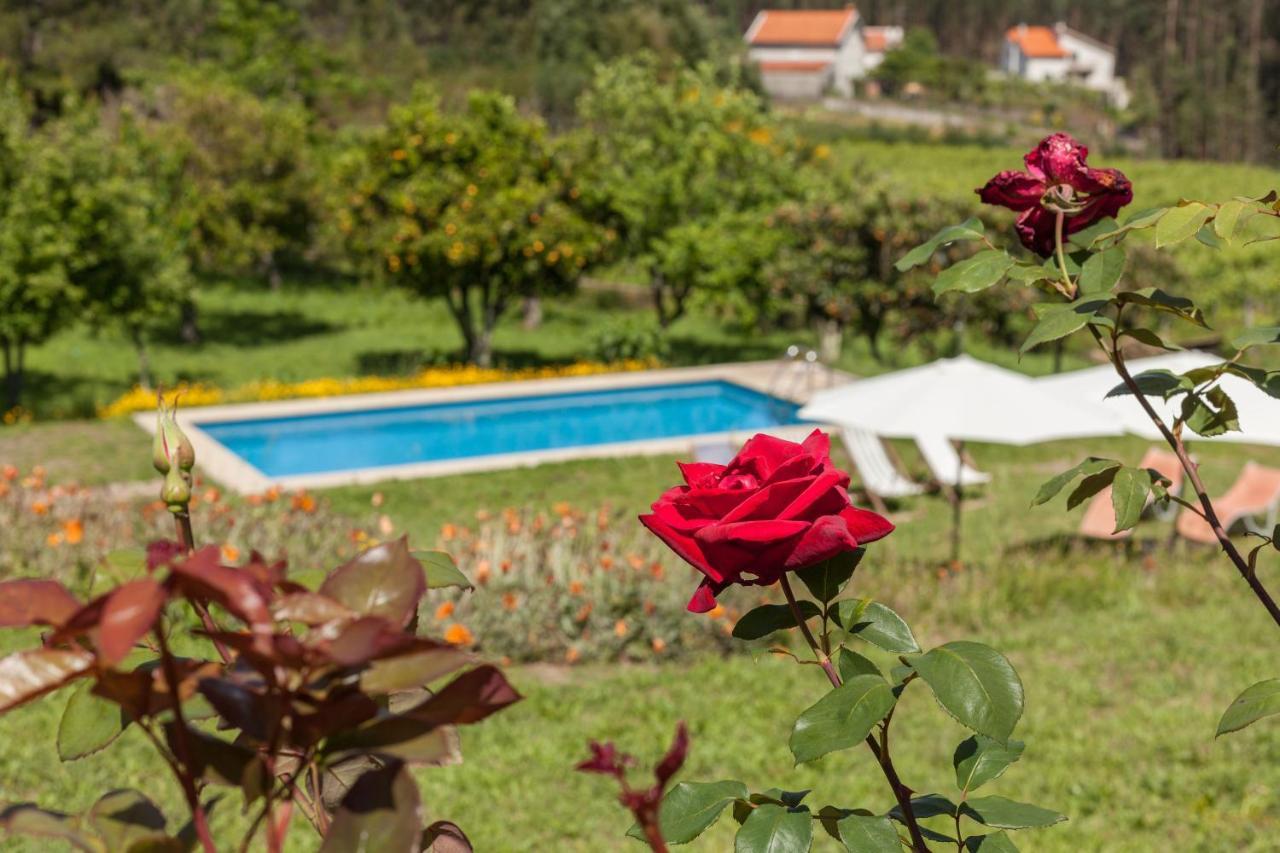 Quinta Da Marouba Fojo Lobal