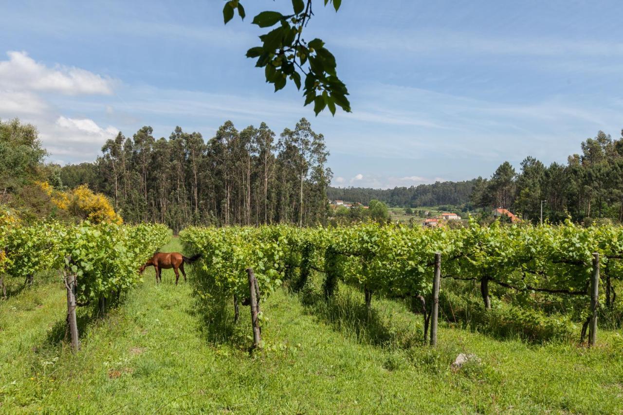 Holiday home Quinta Da Marouba Fojo Lobal
