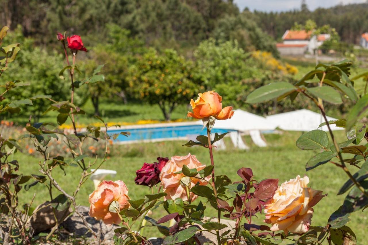 Quinta Da Marouba Holiday home Fojo Lobal