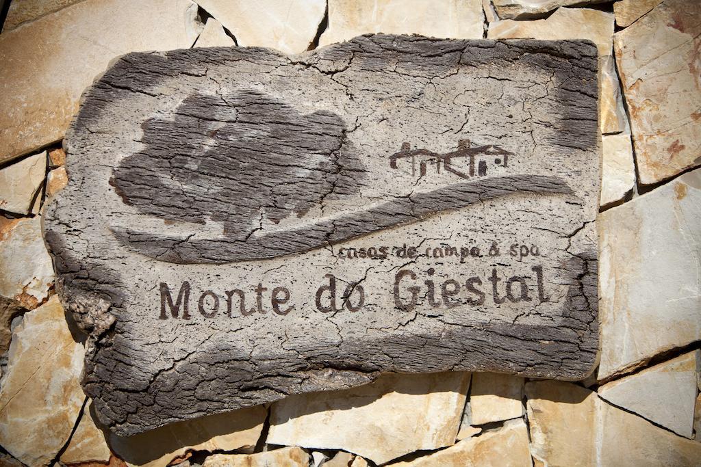 Monte Do Giestal - &