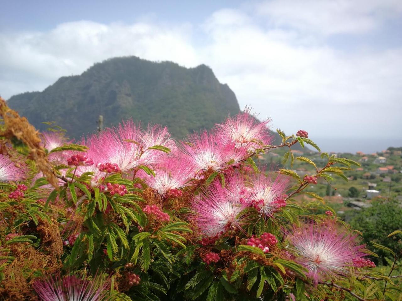 Palma Madeira Wandern Und Tauchen