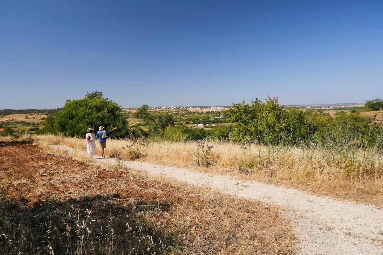 Farm stay Companhia Das Culturas - Ecodesign & Spa Hotel