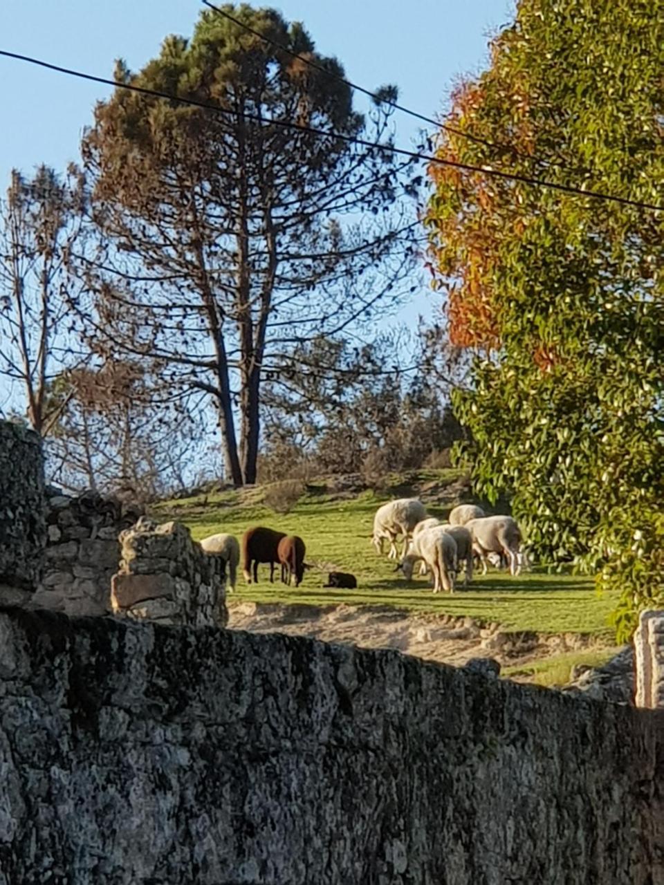 Rural Mira Serra 3*
