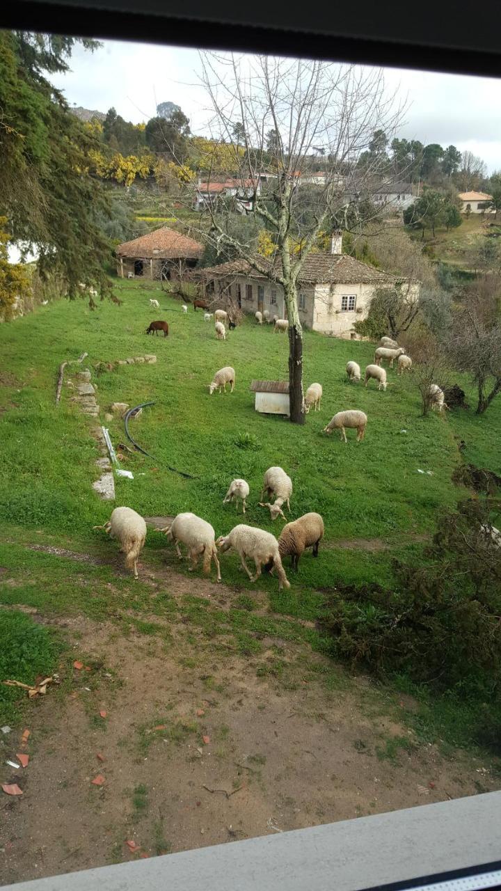 Rural Mira Serra 3* Mangualde