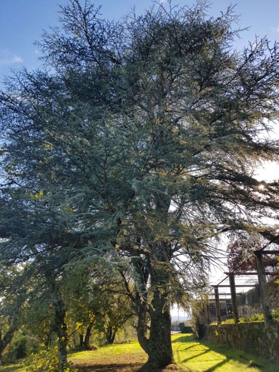 Rural Mira Serra