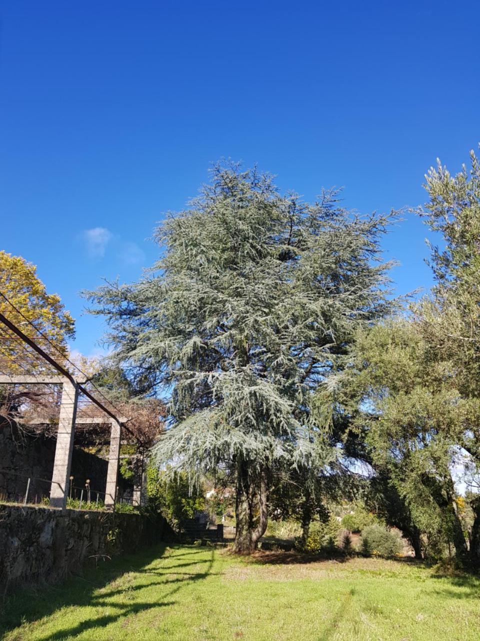 Rural Mira Serra Hotel