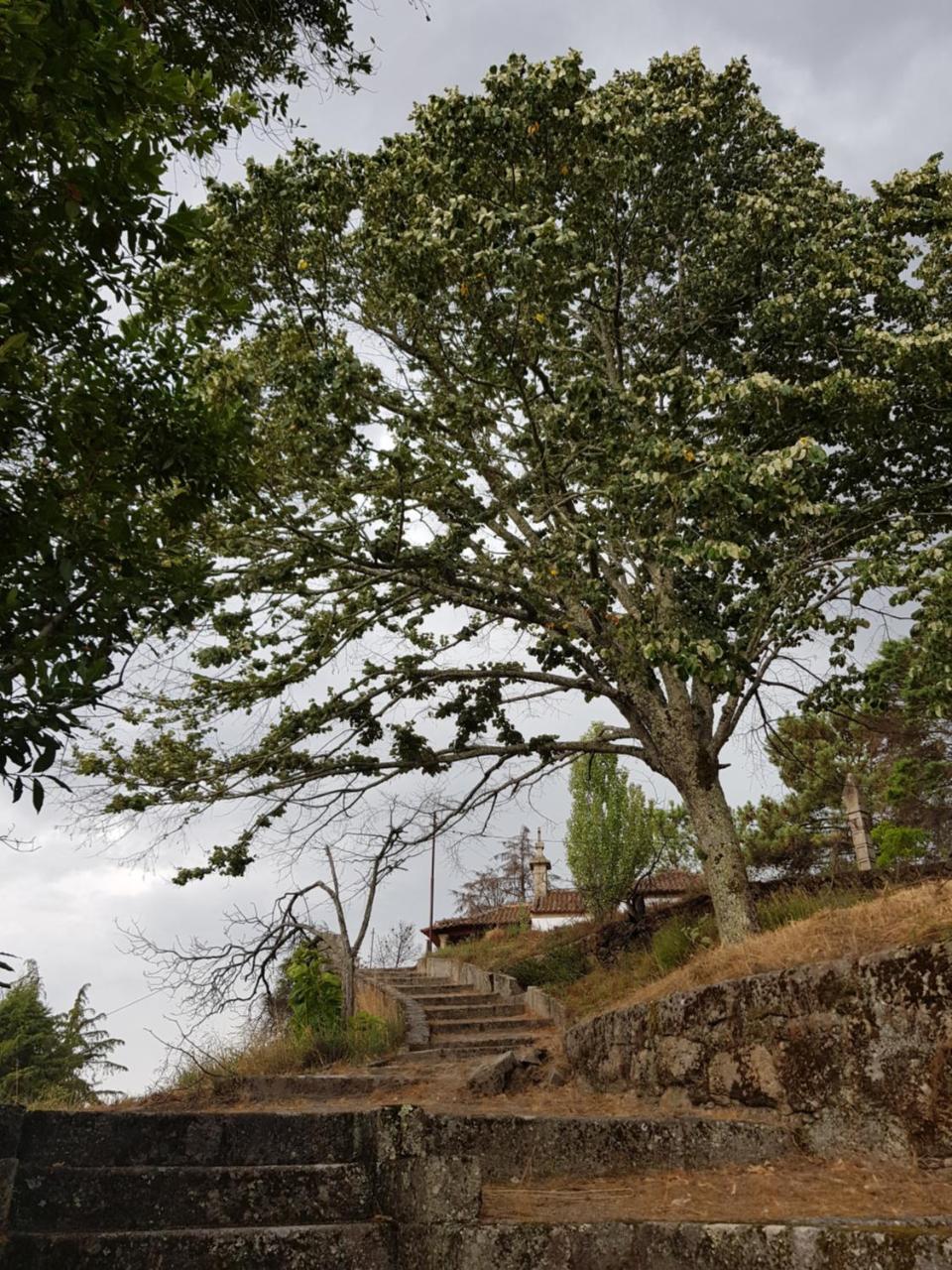 Rural Mira Serra Mangualde