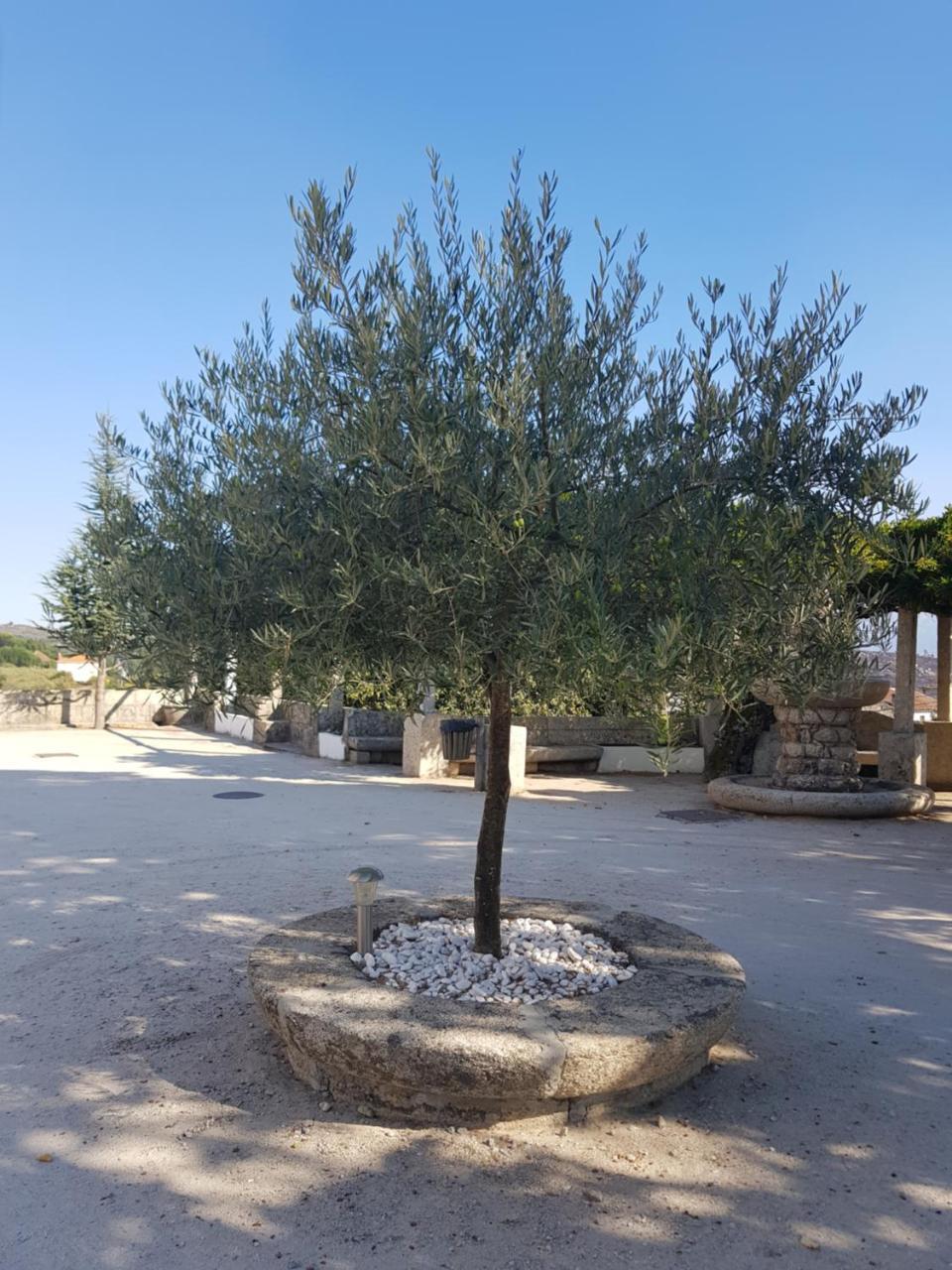 Rural Mira Serra Hotel