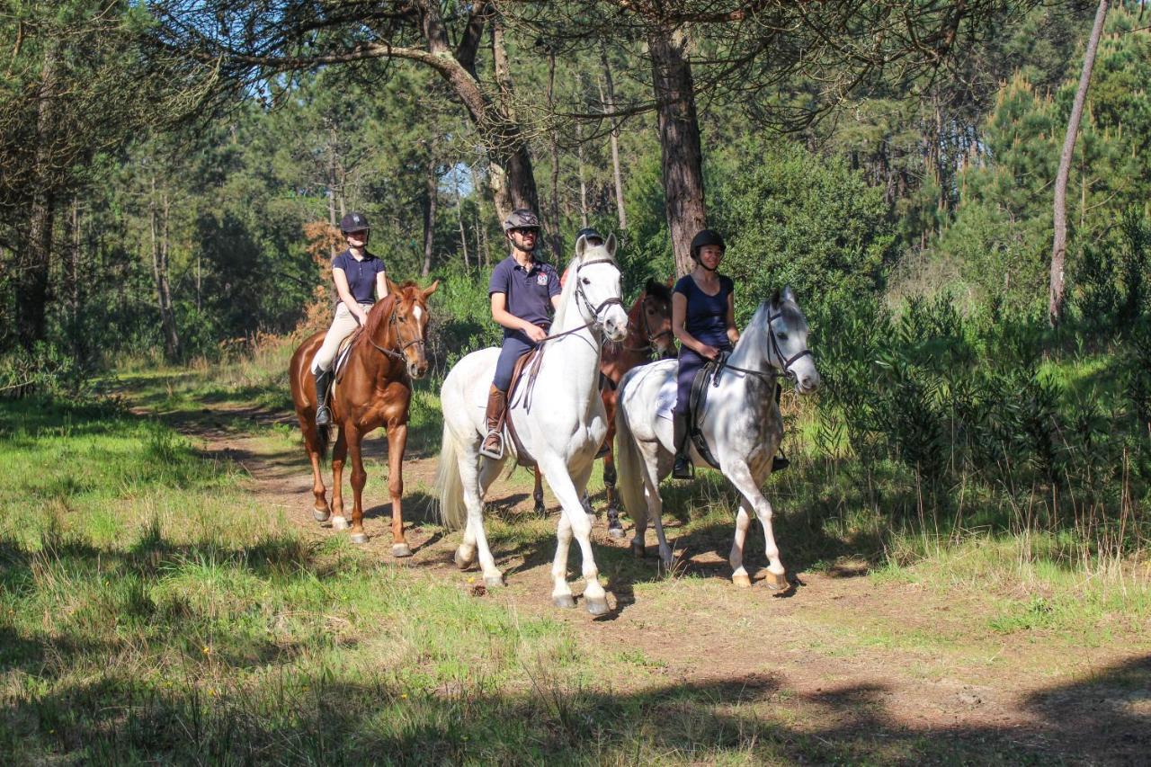 Innesposende Sports Hostel