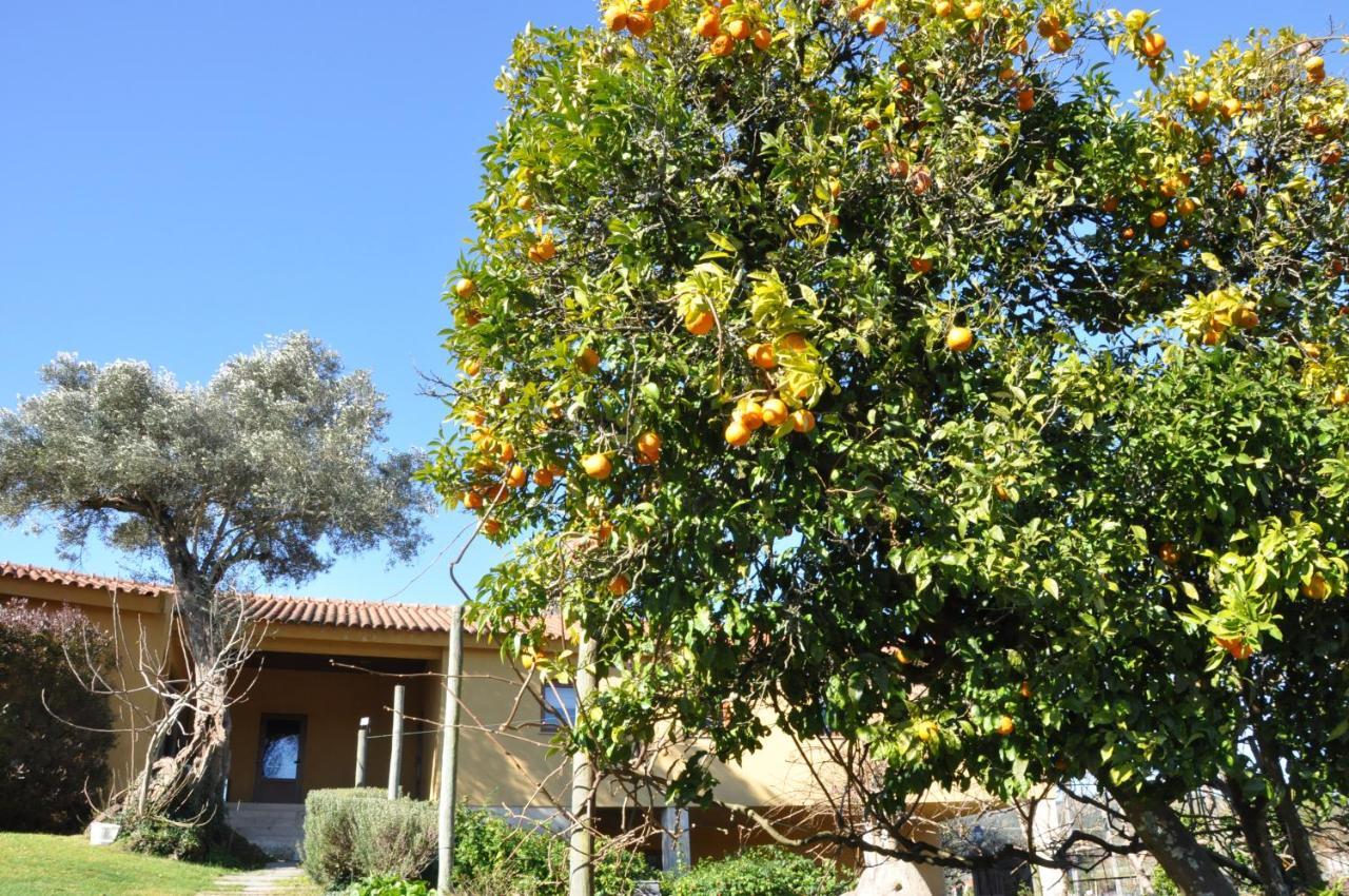 Hotel Rural De Charme Maria Da Fonte Povoa de Lanhoso