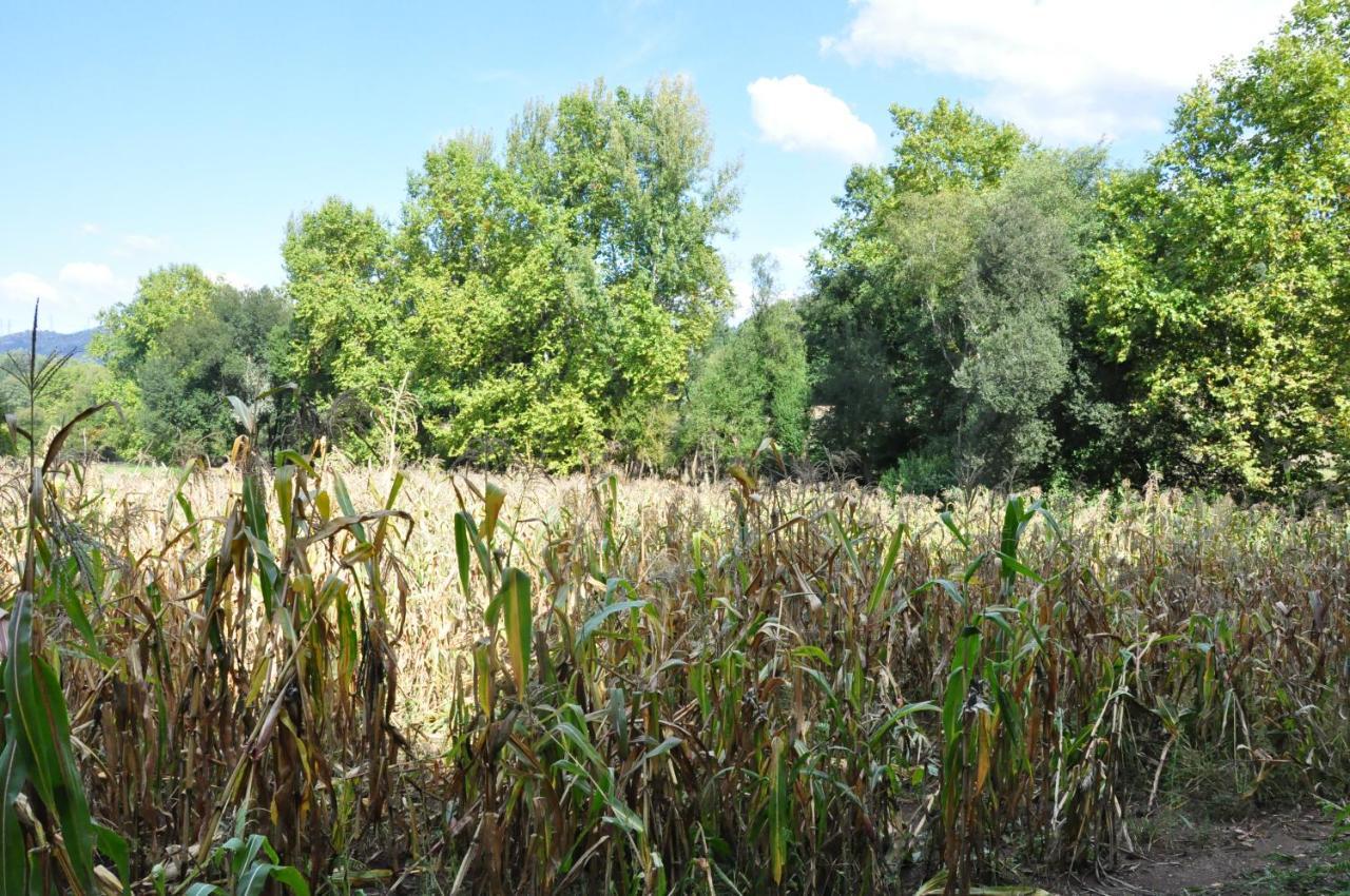 Rural De Charme Maria Da Fonte 3*