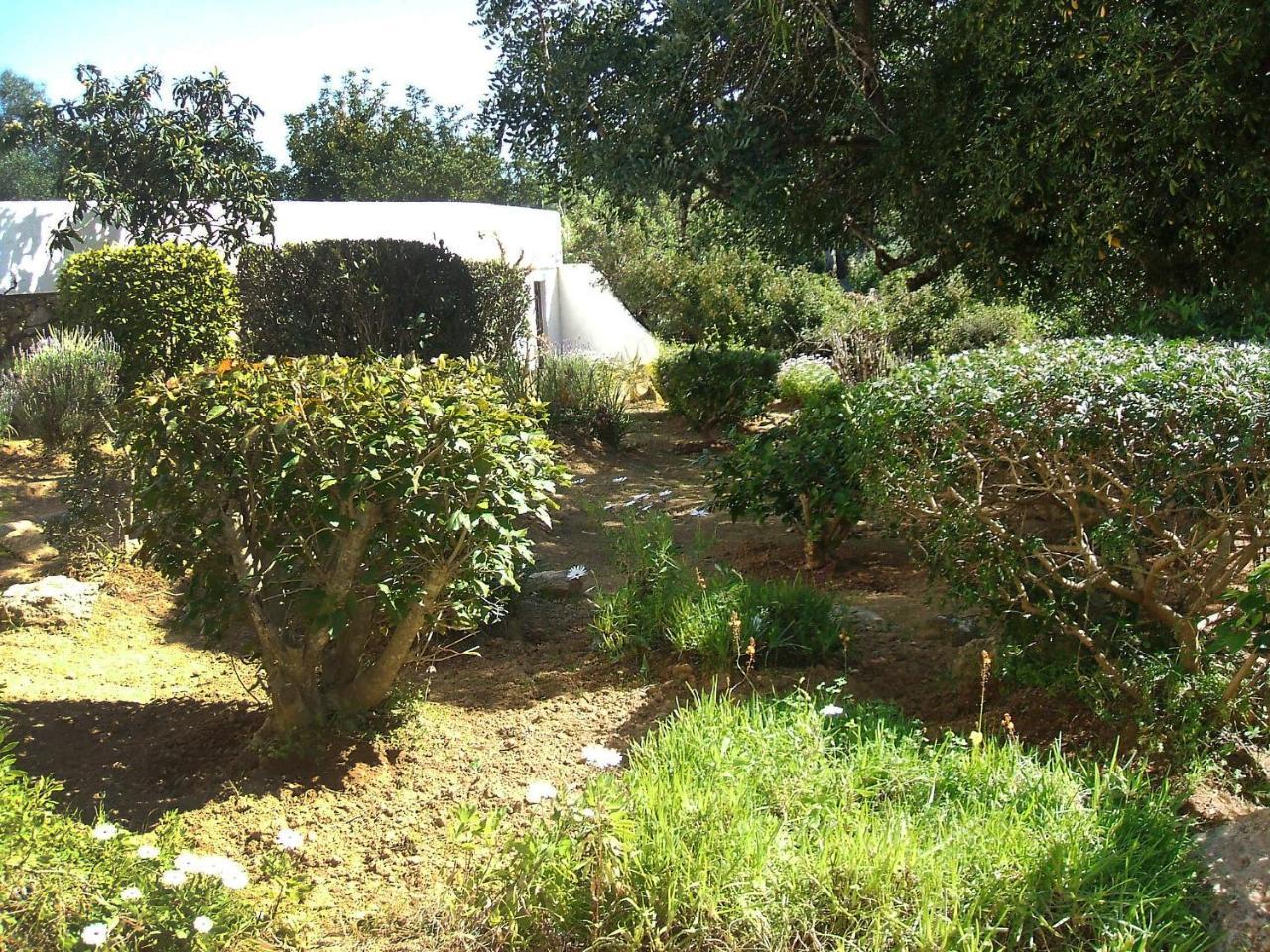 Holiday Home Doroteia By Interhome Carvoeiro (Lagoa)